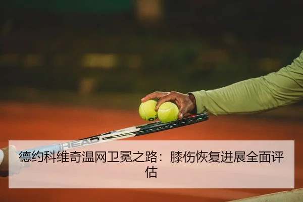 de-yue-ke-wei-qi-wen-wang-wei-mian-zhi-lu-xi-shang-hui-fu-jin-zhan-quan-mian-ping-gu-2-384.jpg