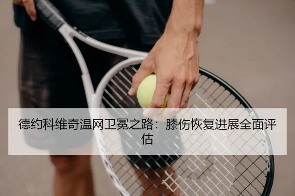 de-yue-ke-wei-qi-wen-wang-wei-mian-zhi-lu-xi-shang-hui-fu-jin-zhan-quan-mian-ping-gu-3-332.jpg