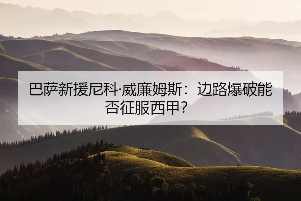ba-sa-xin-yuan-ni-ke-wei-lian-mu-si-bian-lu-bao-po-neng-fou-zheng-fu-xi-jia-2-297.jpg