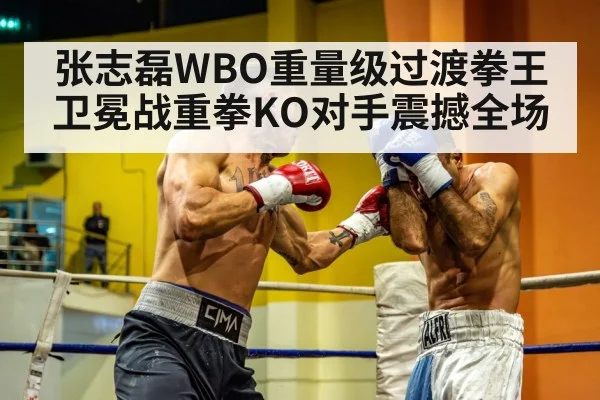张志磊WBO重量级过渡拳王卫冕战重拳KO对手震撼全场